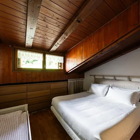 Apartment Attico Cadore