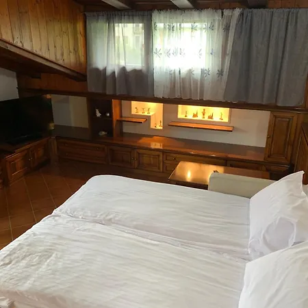 Apartment Attico Cadore